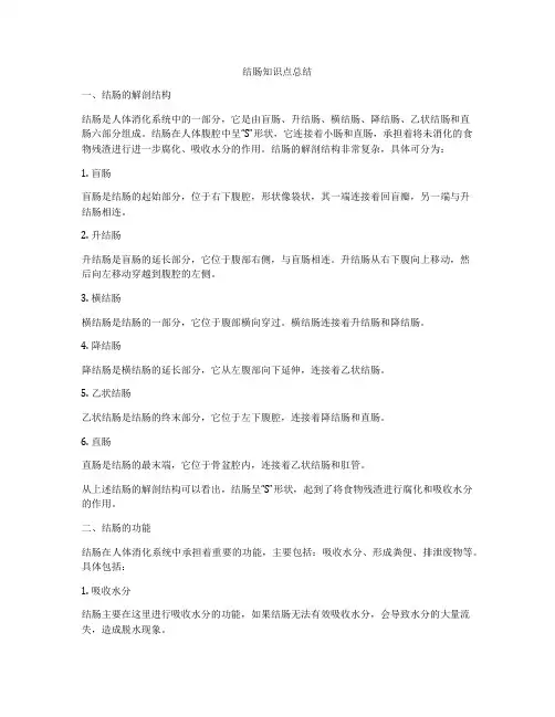 结肠知识点总结