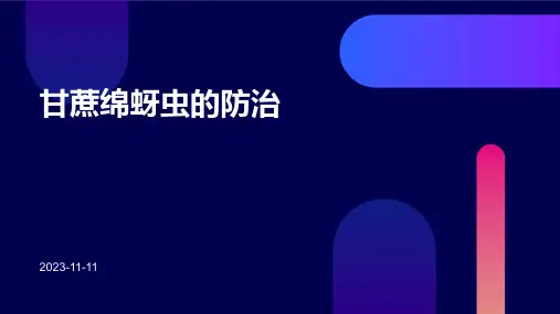 甘蔗绵蚜虫的防治