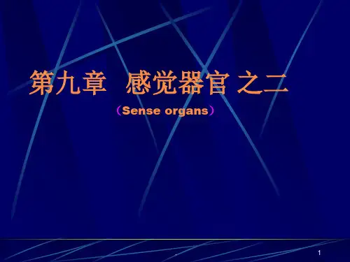 感觉器官之PPT课件