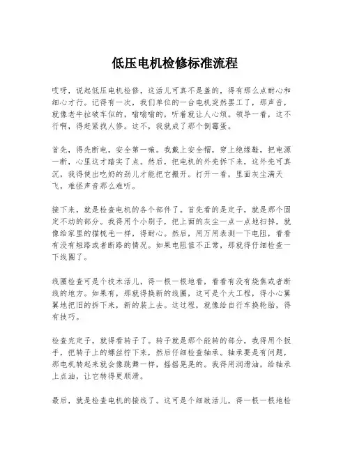 低压电机检修标准流程