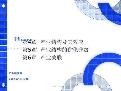 产业经济学第4章产业结构及其效应