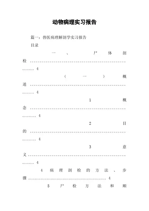 动物病理实习报告