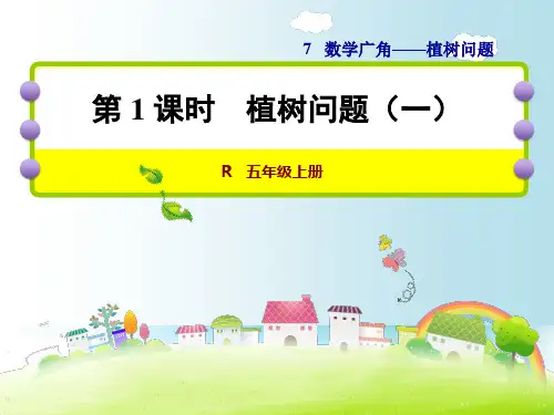 人教版五年级数学上册第1课时植树问题(一)