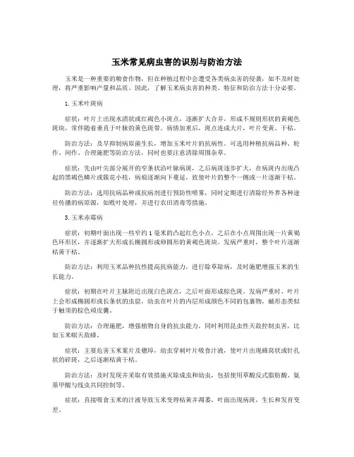 玉米常见病虫害的识别与防治方法