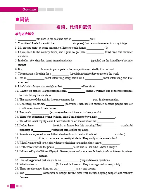 高三复习+ 英语语法+名词、代词和冠词