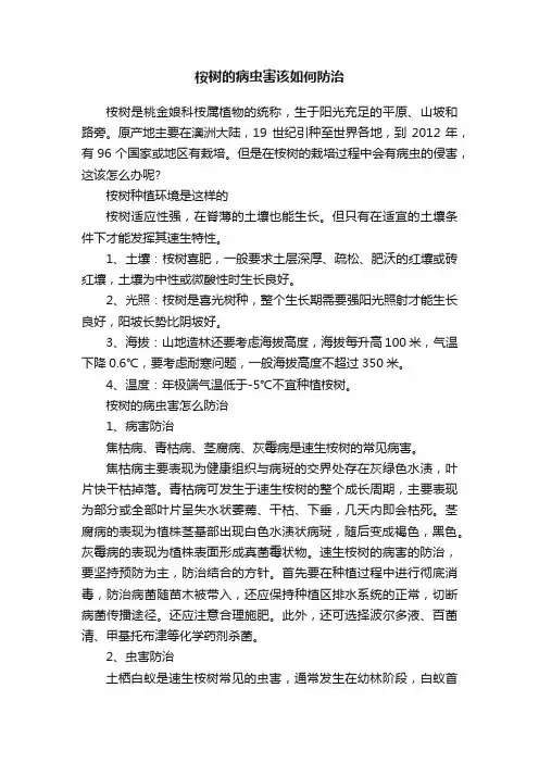 桉树的病虫害该如何防治