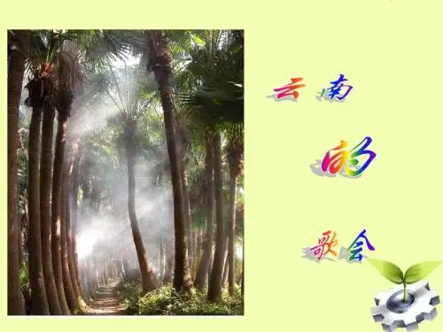 人教版八年级《语文》下册《云南的歌会》
