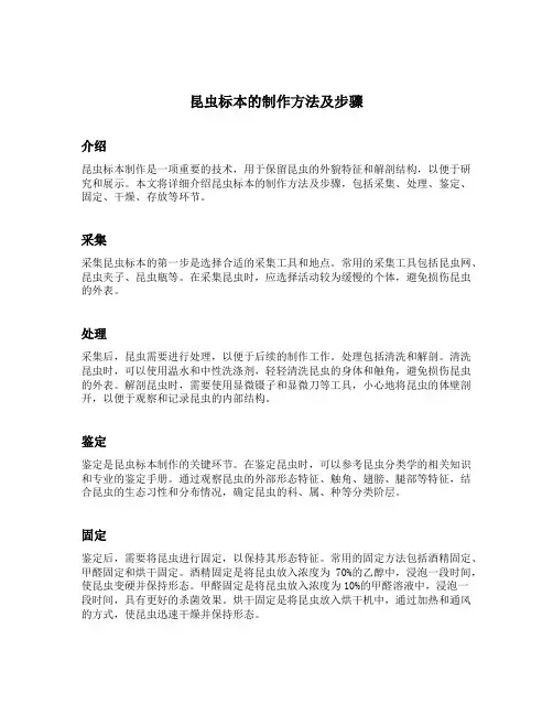 昆虫标本的制作方法及步骤
