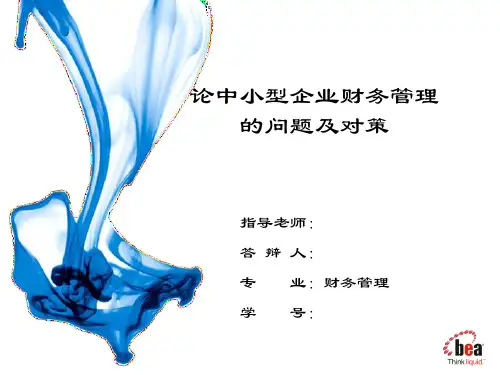 论中小型企业财务管理的问题及其对策__毕业答辩