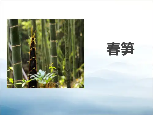 《春笋》PPT【优秀课件PPT】