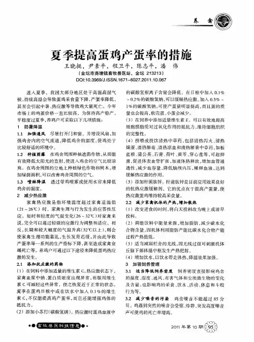 夏季提高蛋鸡产蛋率的措施