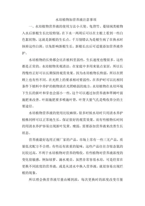 水培植物加营养液注意事项