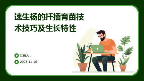 速生杨的扦插育苗技术技巧及生长特性