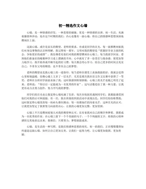 初一精选作文心墙