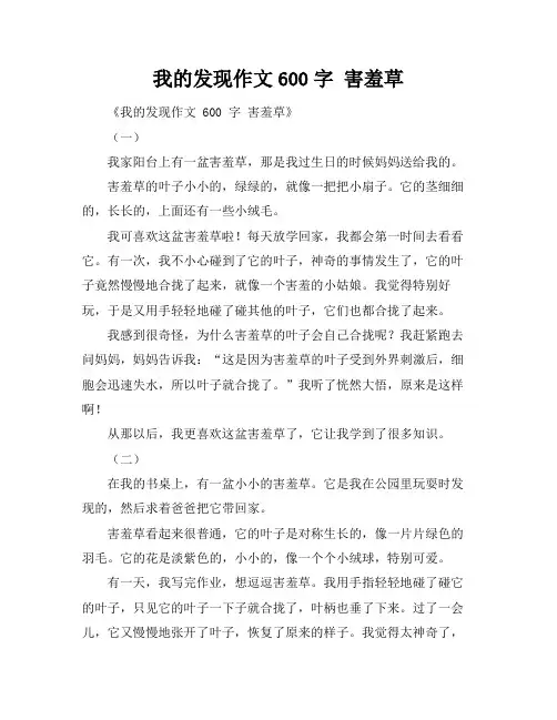 我的发现作文600字 害羞草