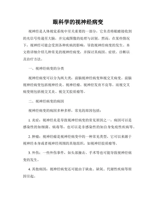 眼科学的视神经病变