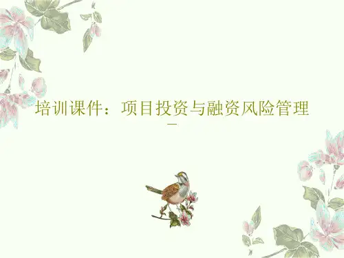 培训课件：项目投资与融资风险管理PPT文档共117页