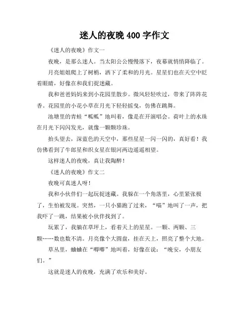 迷人的夜晚400字作文