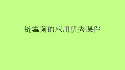 链霉菌的应用优秀课件