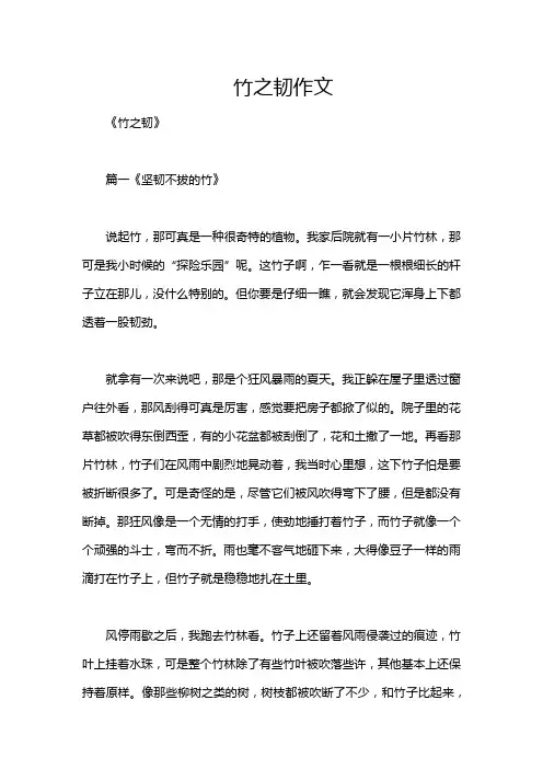 竹之韧作文