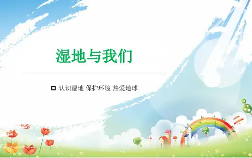湿地环保科普—小学课外科普