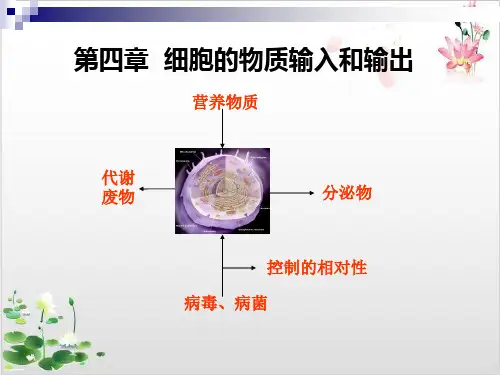 人教生物必修物质跨膜运输的实例-ppt精品课件