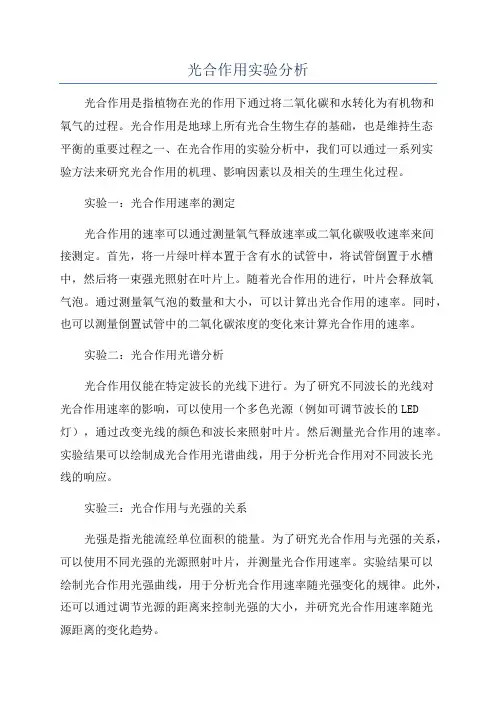 光合作用实验分析