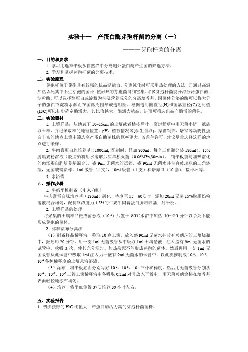 微生物学实验
