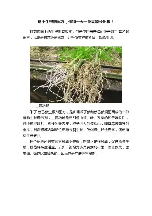 这个生根剂配方，作物一天一夜就能长出根！