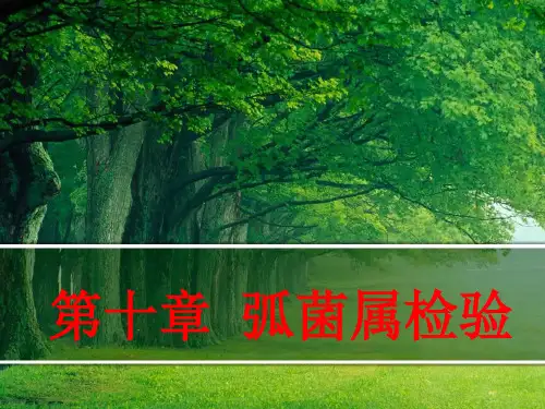 微生物学--弧菌