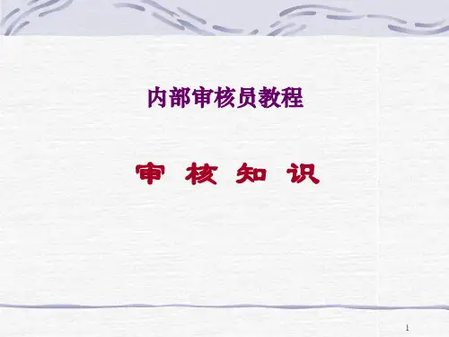 《审核知识教程》PPT课件