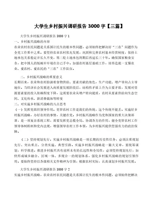 大学生乡村振兴调研报告3000字【三篇】