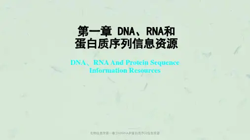 生物信息学第一章 DNARNA和蛋白质序列信息资源课件