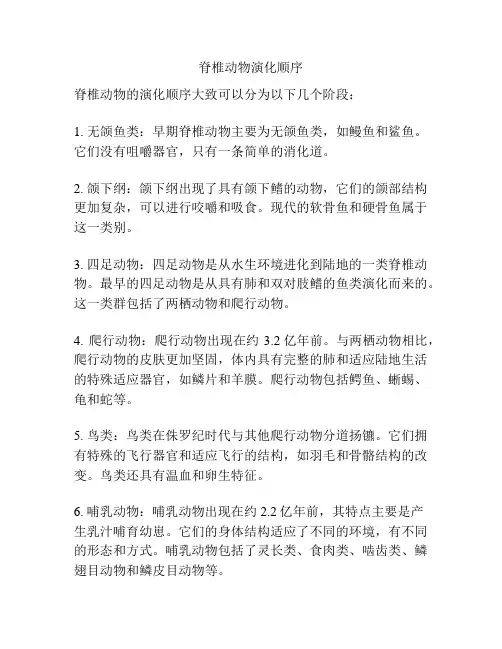 脊椎动物演化顺序