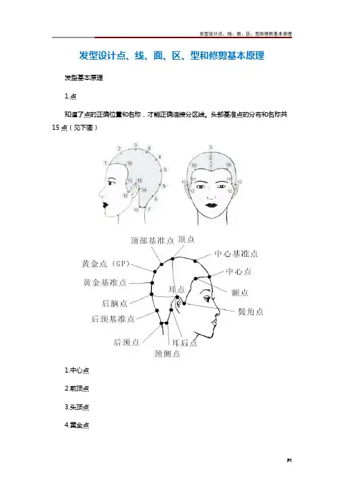 发型设计点、线、面、区、型和修剪基本原理
