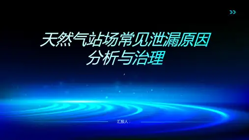 天然气站场常见泄漏原因分析与治理