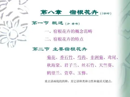 4宿根花卉