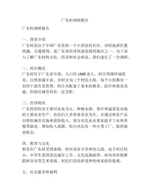 广东村调研报告