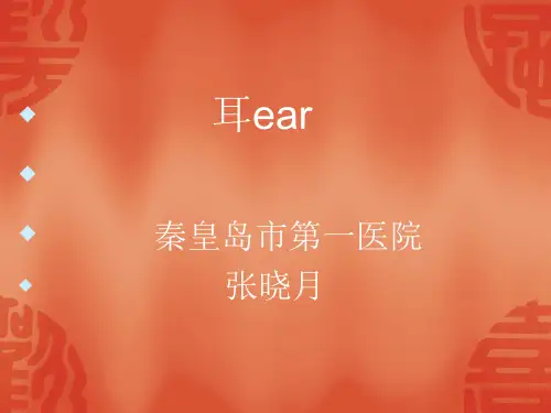 耳的解剖与生理 PPT课件