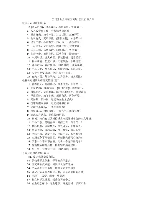 公司团队介绍范文简短 团队自我介绍