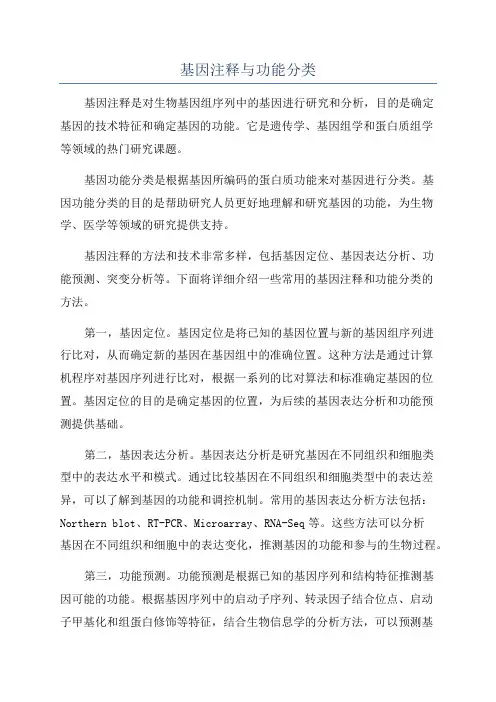 基因注释与功能分类
