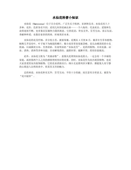 水仙花科普小知识