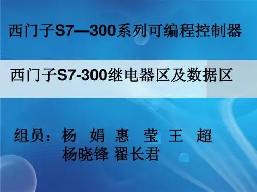 S7300继电器区及数据区-PPT精品文档
