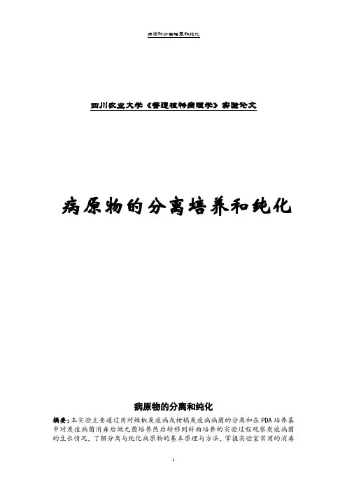 病原物分离培养实验报告