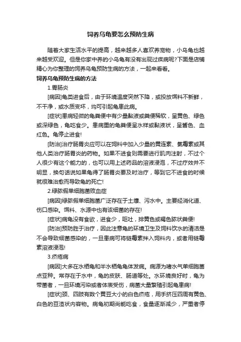 饲养乌龟要怎么预防生病