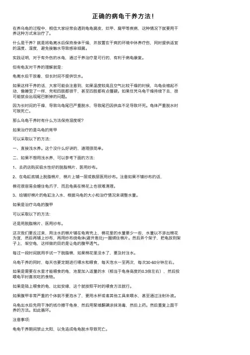 正确的病龟干养方法！