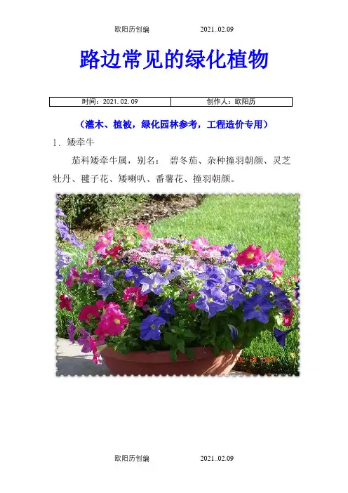 路边常见的绿化植物100余种(灌木、植被,绿化园林参考,工程造价专用)之欧阳历创编