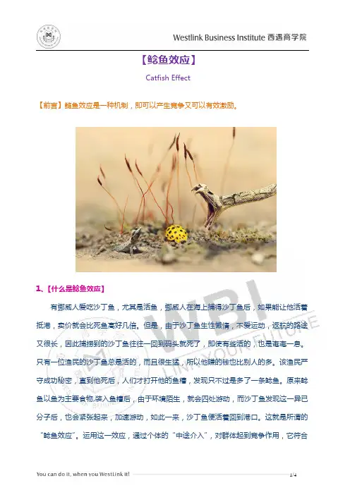 鲶鱼效应