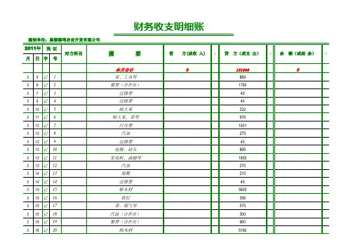 财务收支明细表 简单版 