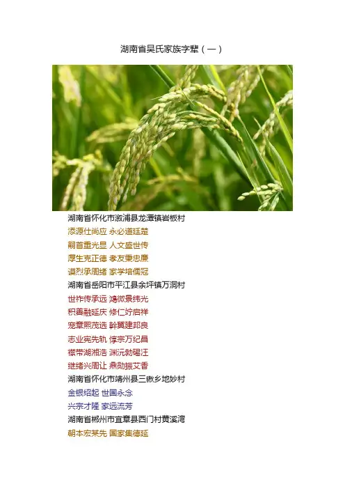 湖南省吴氏家族字辈（一）